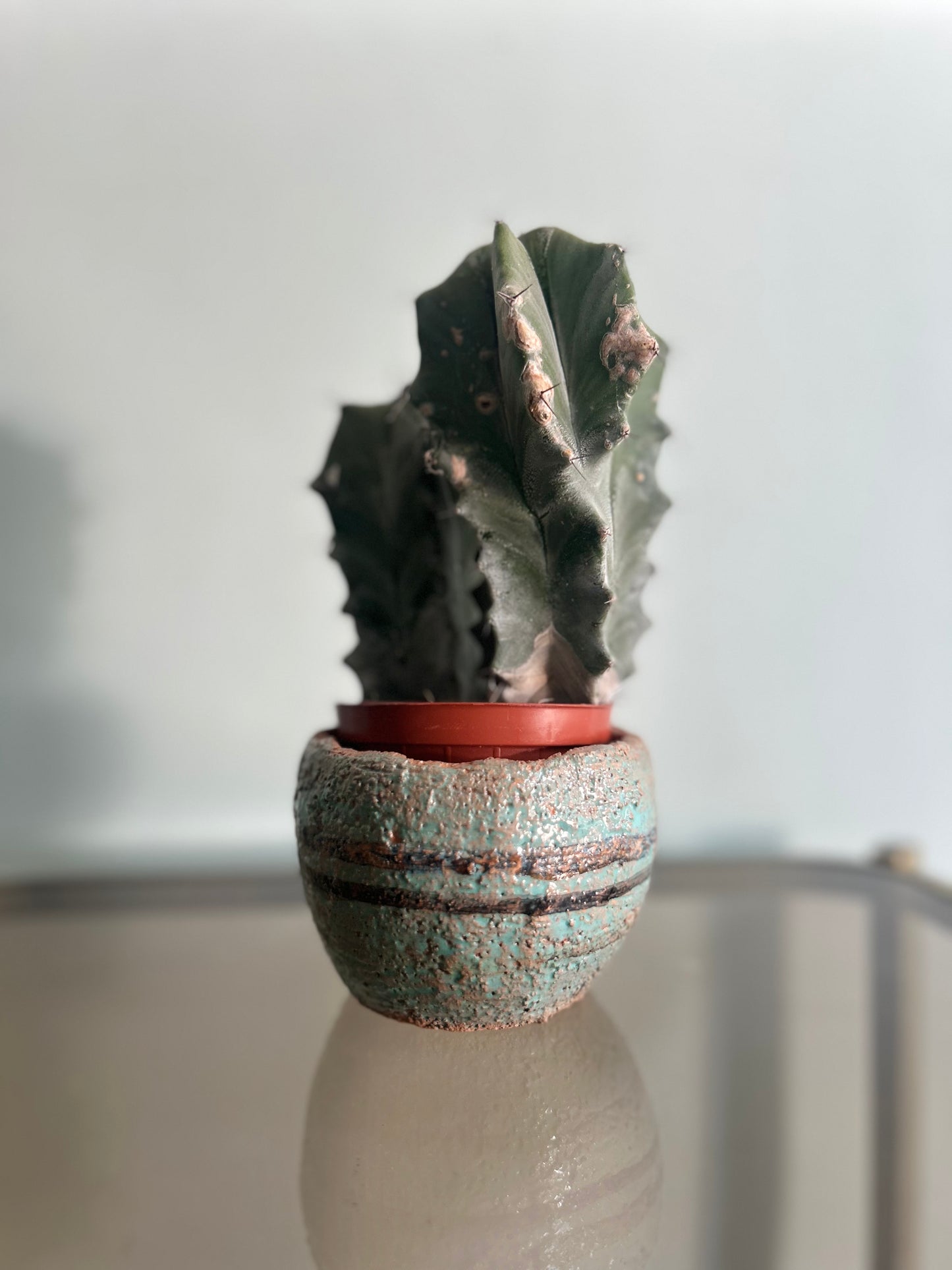 Vasetto porta pianta azzurro