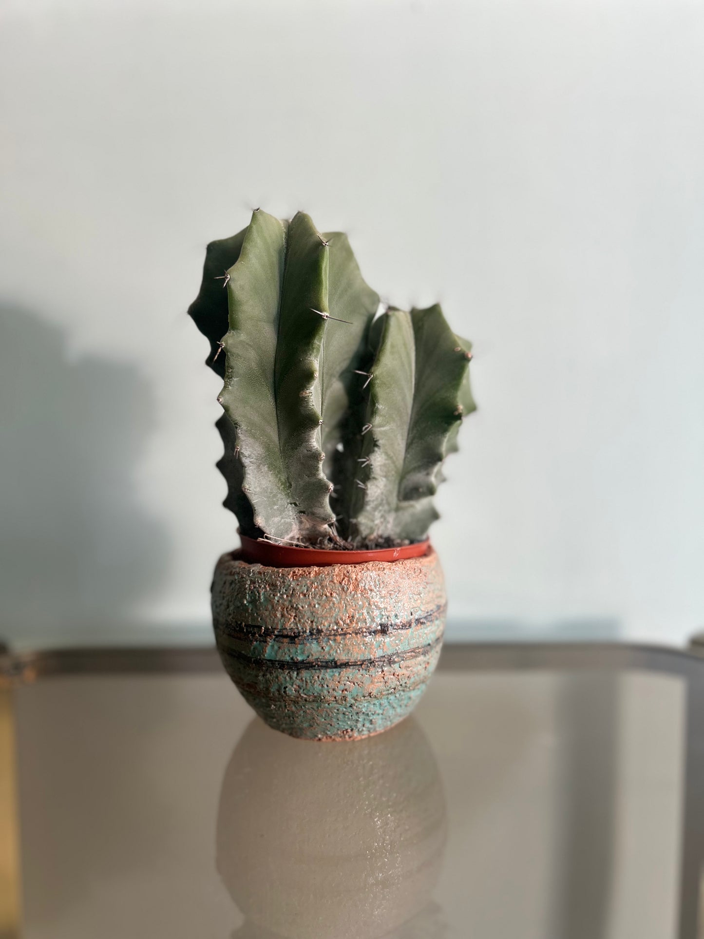 Vasetto porta pianta azzurro