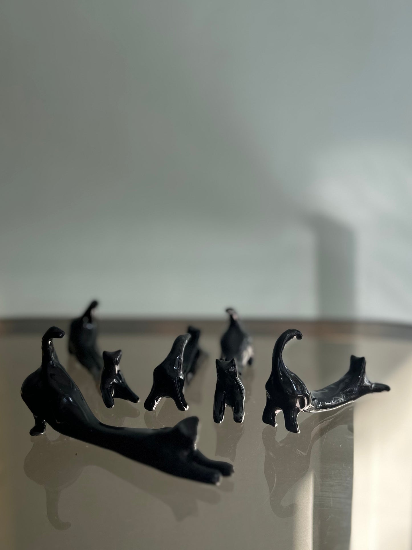 Gattini neri porta posata