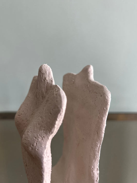 Piccolo busto Insight